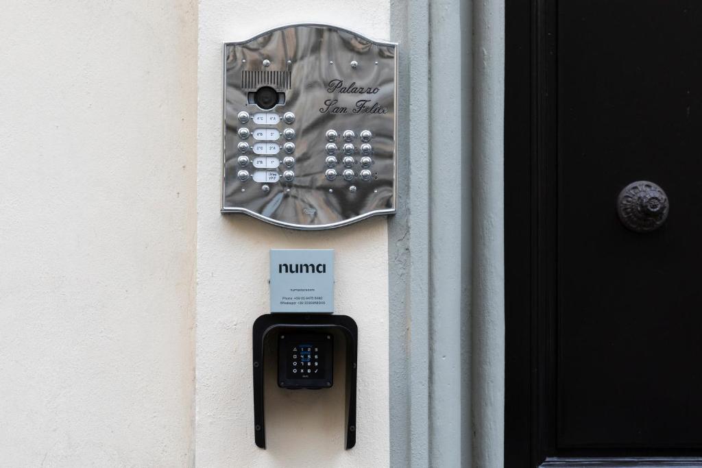 Numa Florence Felice - Resim 15