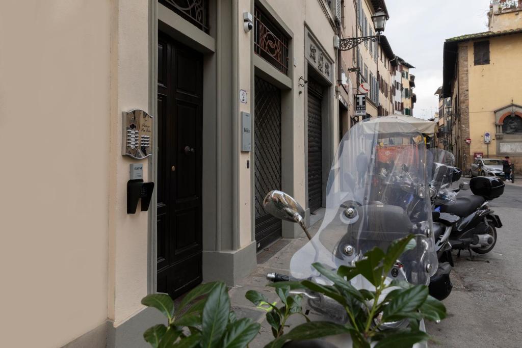 Numa Florence Felice - Resim 18