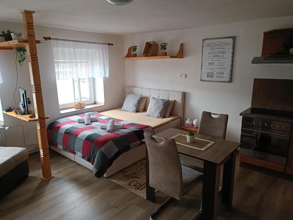 U Bocmana s výhledem na zámek a Labe - 16