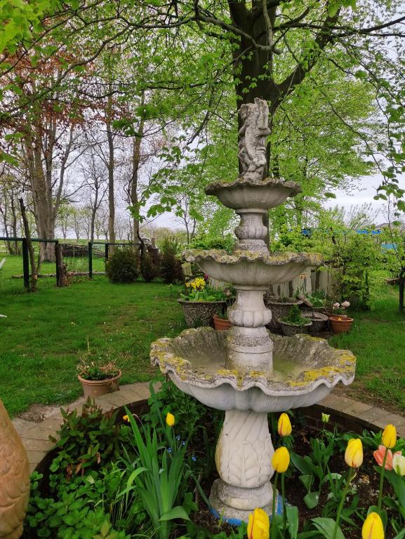 a fountain in the middle of a garden with flowers at Watt in Karolinenkoog