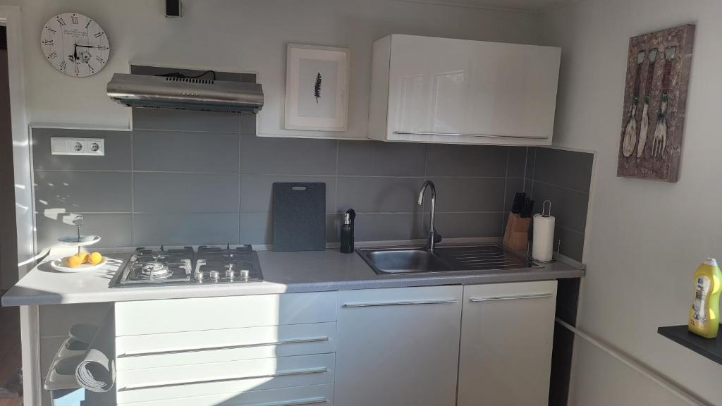 eine kleine Küche mit einer Spüle und einem Herd in der Unterkunft Appartment B 40 in Pirmasens