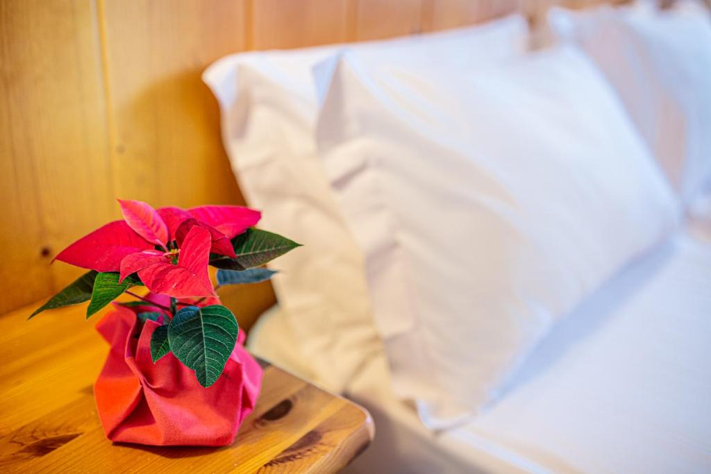 Hotel Nigritella - Habitación Doble Clásica Con Balcón