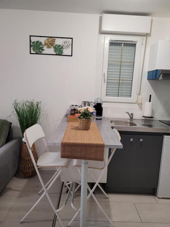 a small kitchen with a table and a sink at Cocooning House 204 Suite Green- Superb studio Aéroport PARIS Roissy CDG, Parc ASTERIX, Château de CHANTILLY, STADE DE FRANCE in Survilliers