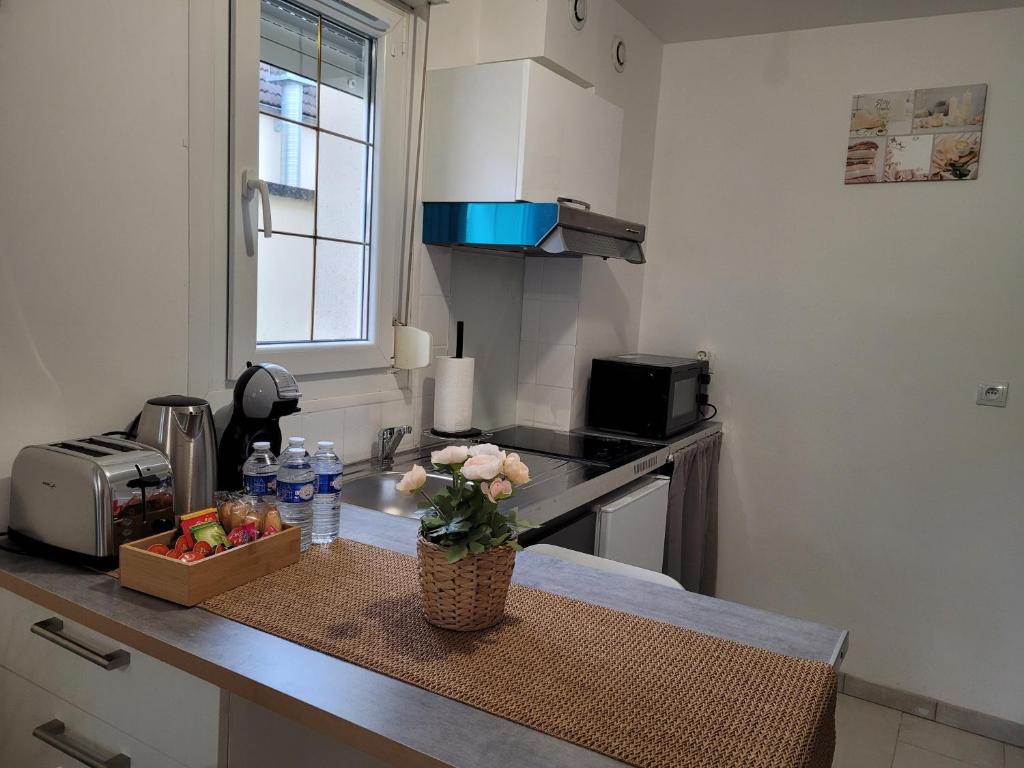 a kitchen with a vase of flowers on a counter at Cocooning House 204 Suite Green- Superb studio Aéroport PARIS Roissy CDG, Parc ASTERIX, Château de CHANTILLY, STADE DE FRANCE in Survilliers