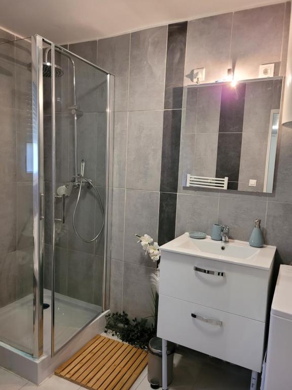 a bathroom with a shower and a sink at Cocooning House 204 Suite Green- Superb studio Aéroport PARIS Roissy CDG, Parc ASTERIX, Château de CHANTILLY, STADE DE FRANCE in Survilliers