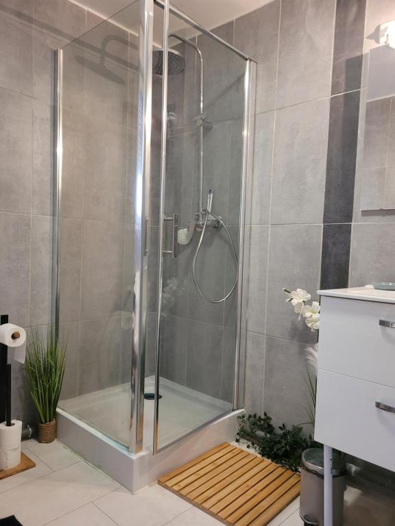 a shower with a glass door in a bathroom at Cocooning House 204 Suite Green- Superb studio Aéroport PARIS Roissy CDG, Parc ASTERIX, Château de CHANTILLY, STADE DE FRANCE in Survilliers