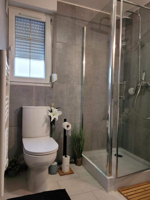 a bathroom with a toilet and a shower and a tub at Cocooning House 204 Suite Green- Superb studio Aéroport PARIS Roissy CDG, Parc ASTERIX, Château de CHANTILLY, STADE DE FRANCE in Survilliers