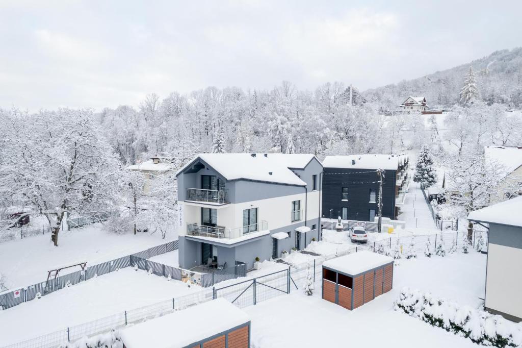 Apartamenty Nadrzeczna nad Wisłą Dream Apart v zime