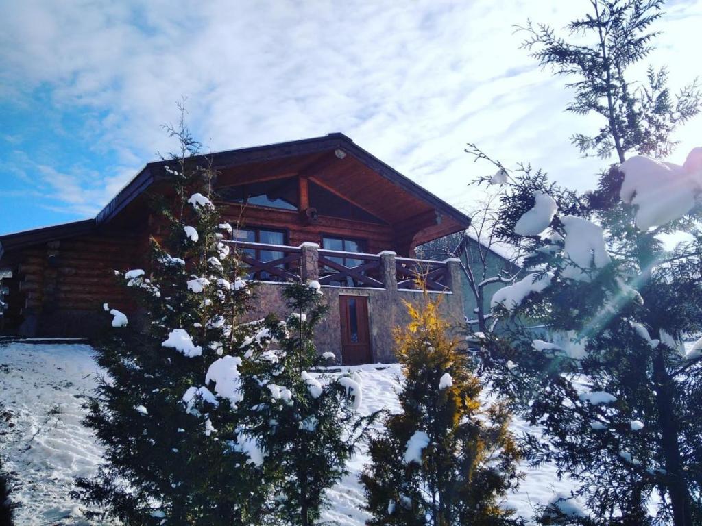 Příroda nedaleko apartmánu