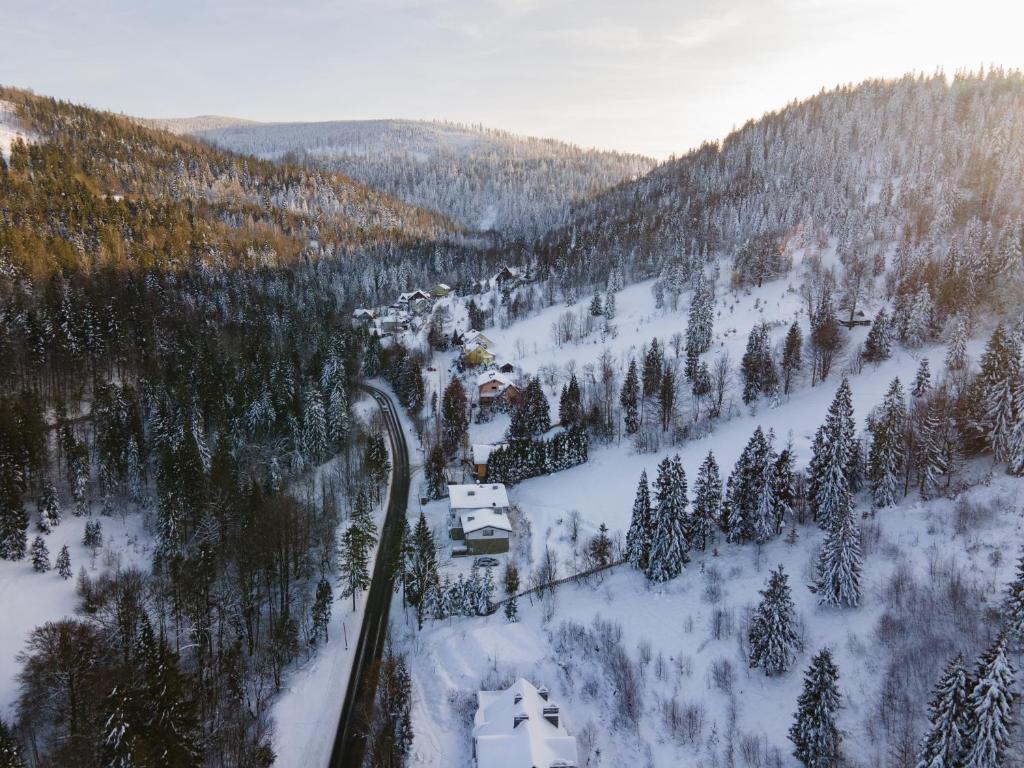 Willa Marko z sauną, grillowiskiem i rowerownią - Dream Apart - 14