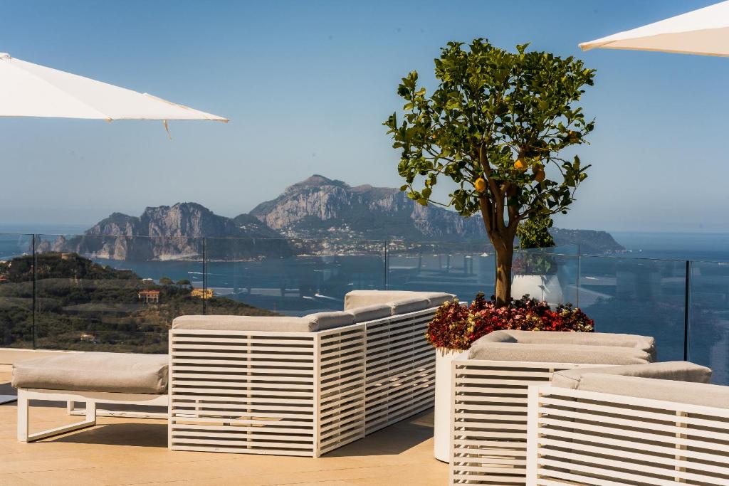 a group of chairs and a tree on a balcony at Villa Eliana in Sorrento