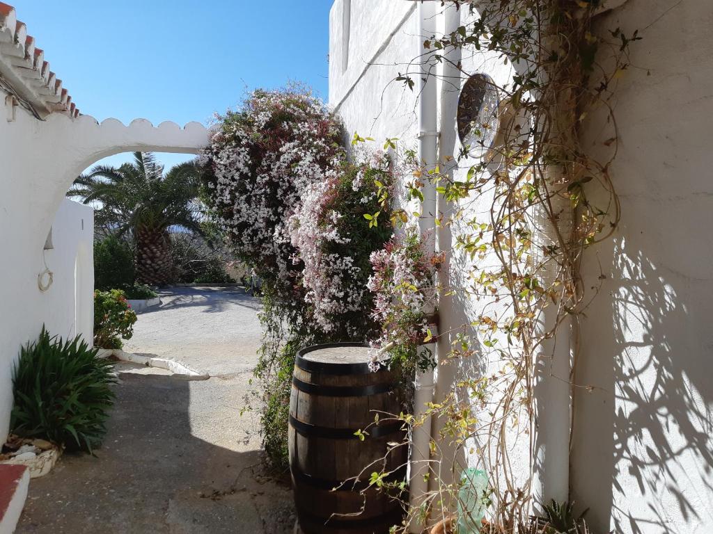 a barrel full of flowers on the side of a building at Casita Tomate in Granada