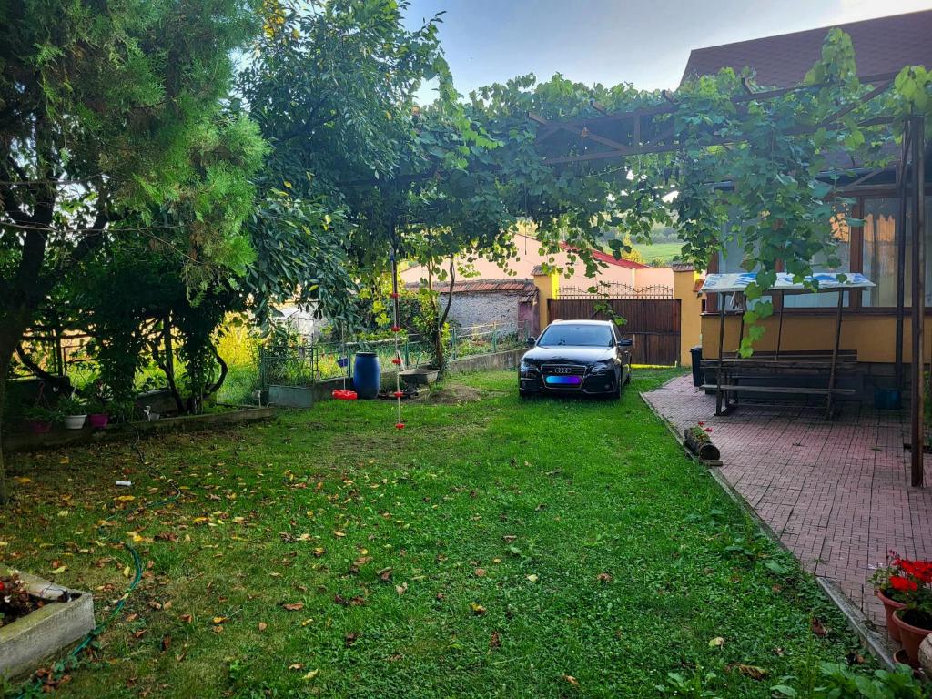 Afbeelding uit fotogalerij van RadHouse Villa Brasov - 50 minutes from Brasov in Perşani