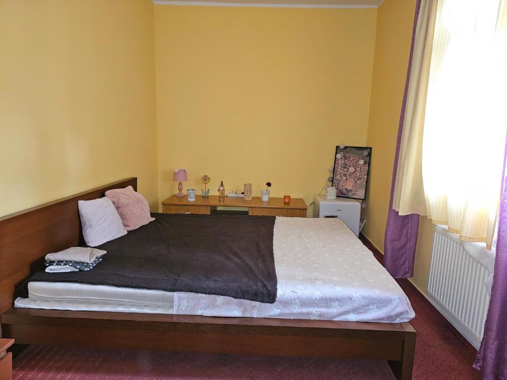 Un dormitorio con una cama grande y una ventana en Ubytovani Stodolni, en Moravská Ostrava