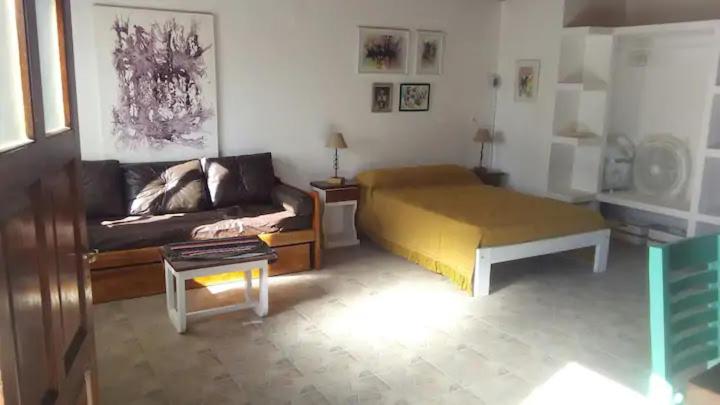 - un salon avec un canapé et un lit dans l'établissement Monoambiente Luminoso (permitido mascotas), à Camet Norte