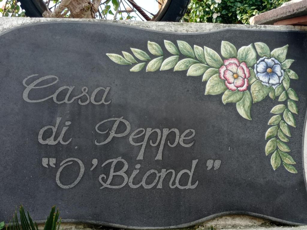 una señal que dice aca del pepe orollor en Casa di Peppe o'Biond, en Procida