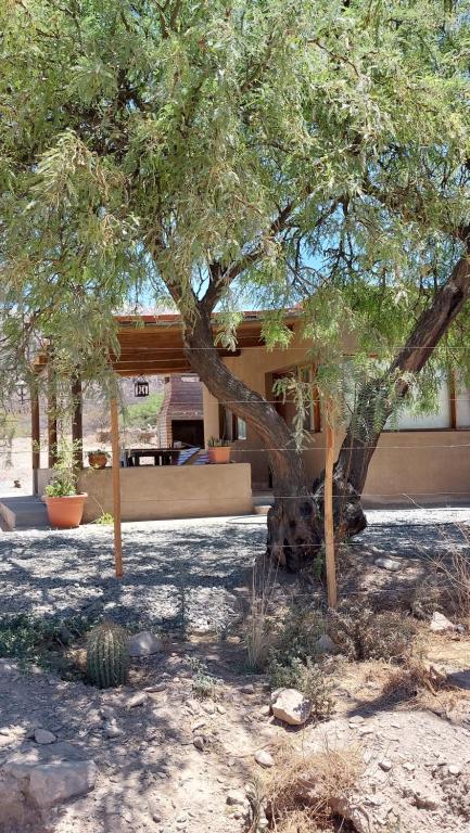 un edificio con un árbol delante en Los Cardales, en Cachí
