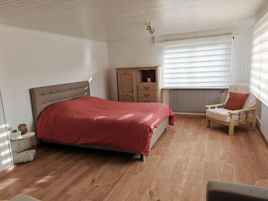 ein Schlafzimmer mit einem Bett, einem Stuhl und einem Fenster in der Unterkunft Appartement au sein d'une maison in Issenheim