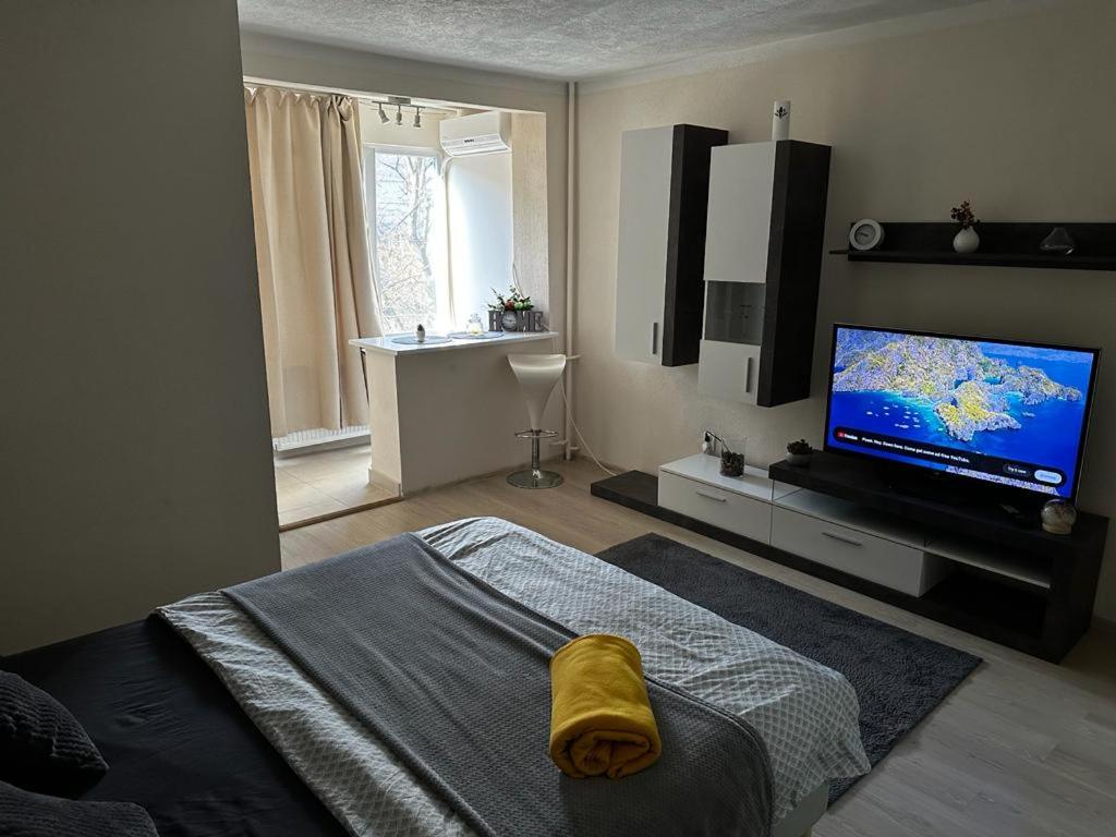 a living room with a flat screen tv and a bed at REEAS APARTAMENT in Timişoara