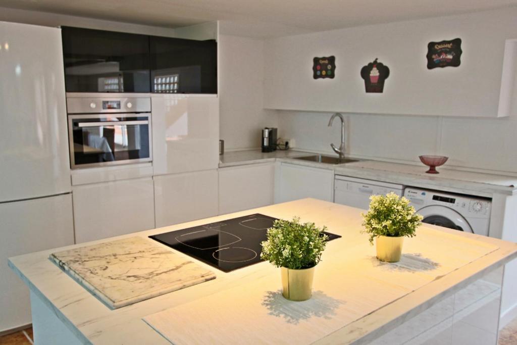 Kuchyň nebo kuchyňský kout v ubytování TESS Villa Paradise