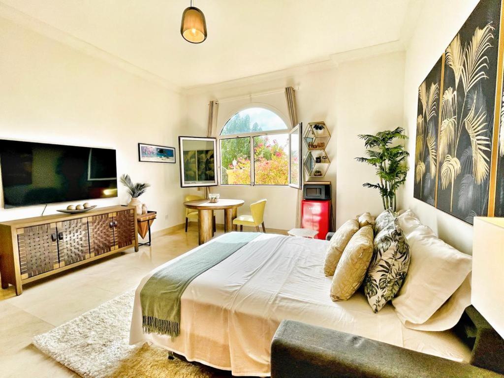 a bedroom with a large bed and a tv at Peaceful escape near the beach with private garden in Dubai