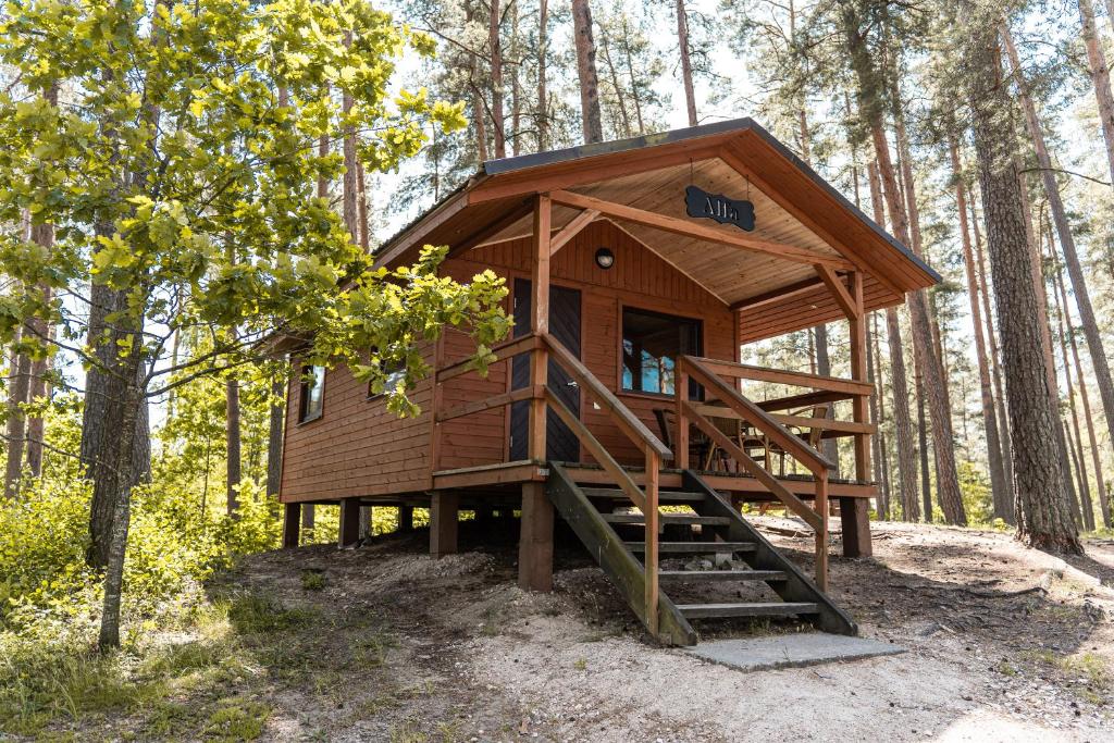 a tree house in the middle of a forest at Kempings Bejas in Babīte