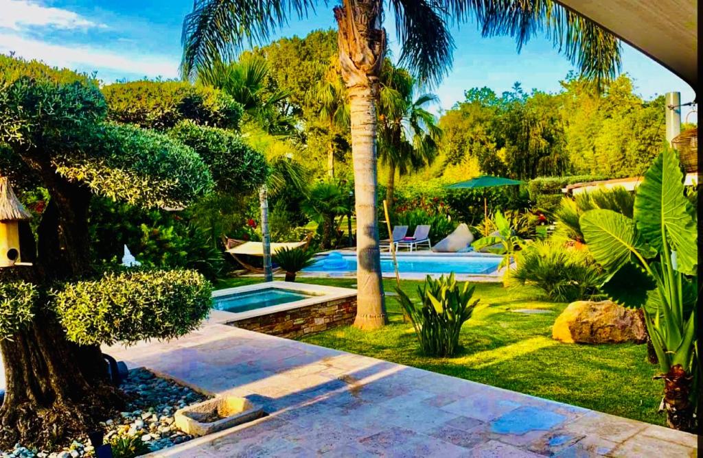 een tuin met een palmboom en een zwembad bij Le Cocoon Lodge du Gapeau & Massage in Solliès-Pont