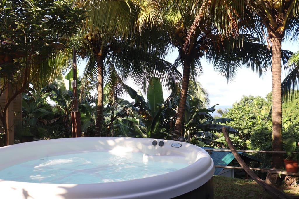 a bath tub in a yard with palm trees at La Petite Maison de Marie in Sainte-Marie