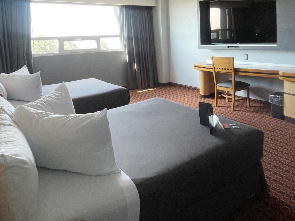 Suites Inn la Muralla Hotel & Spa - Zweibettzimmer