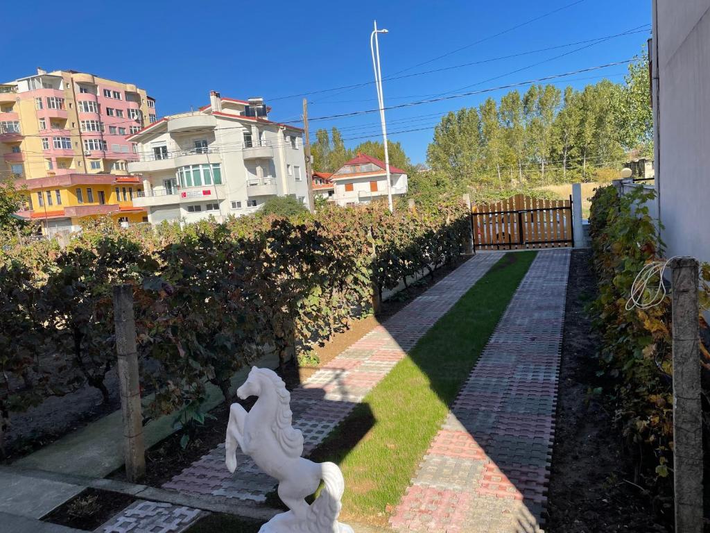 Zahrada ubytování Guesthouse Enea