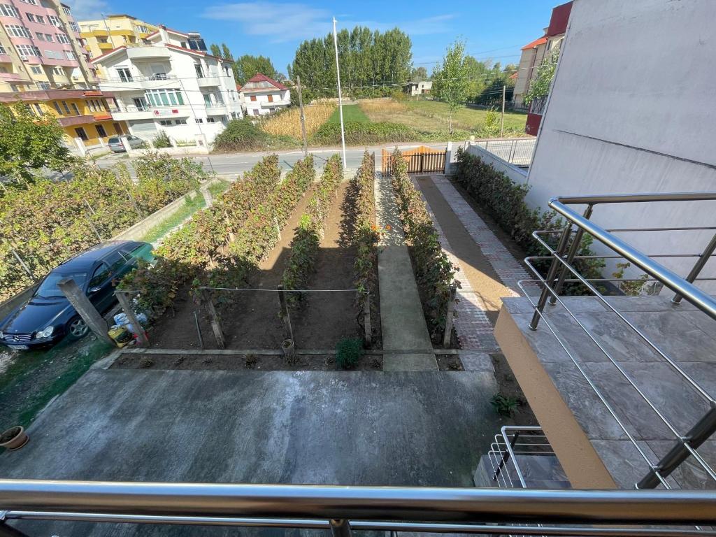 Zahrada ubytování Guesthouse Enea