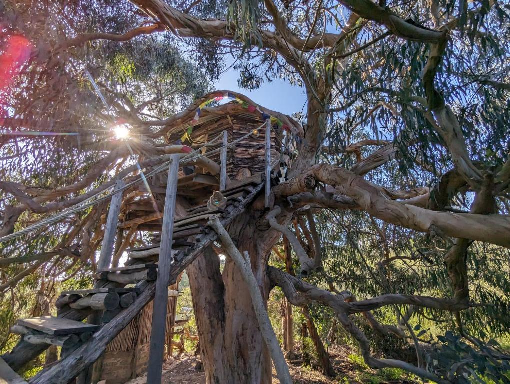a tree house in a tree at Magical Treehouse in Lagos