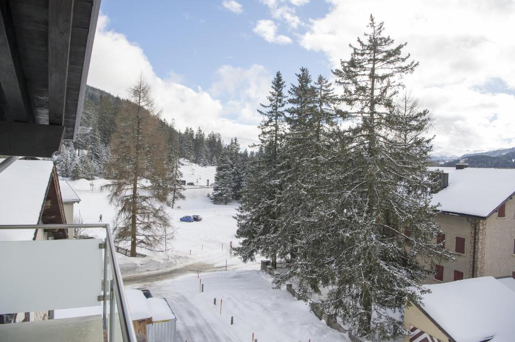 Příroda nedaleko apartmánu