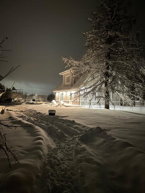 a snow covered yard with a house and a tree at Sportsmen´s Holiday House in Otepää