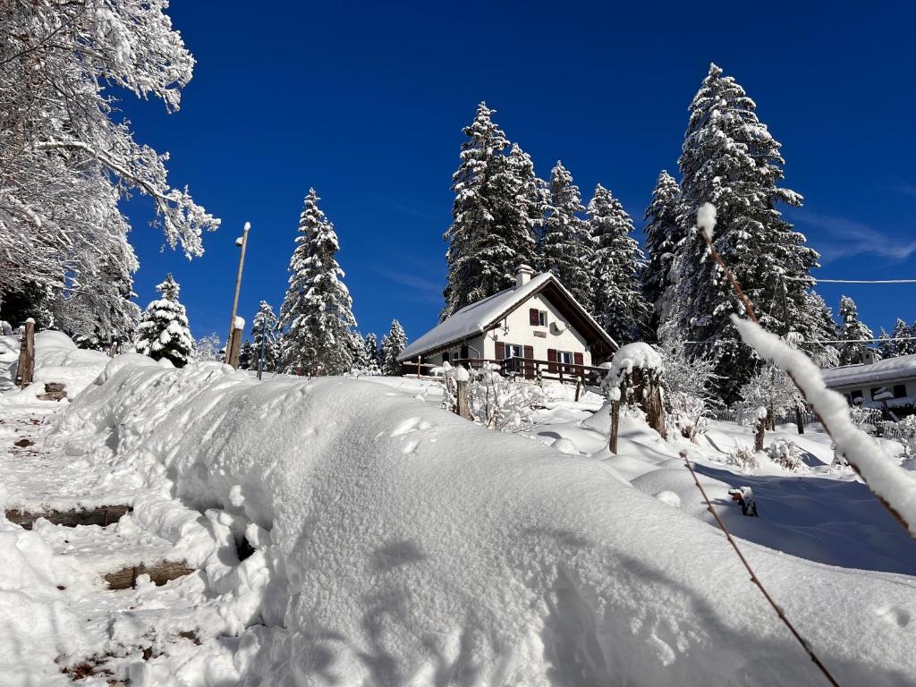 a house covered in snow in front of trees at Le Joly Chalet in Saint-Imier
