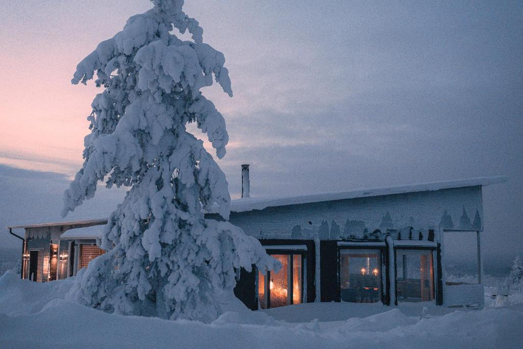 a snow covered tree in front of a building at Tupasvilla in Saariselka