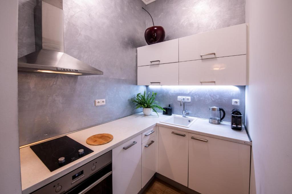 Kuchnia lub aneks kuchenny w obiekcie Modern Downtown APT - renovated, on ideal location