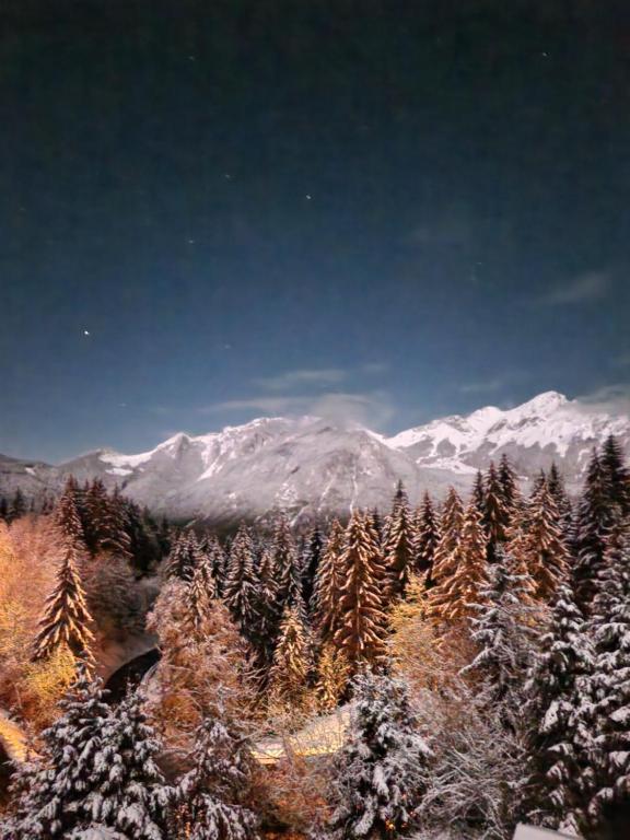 Alpine 1 bed Chalet with beautiful views v zimě