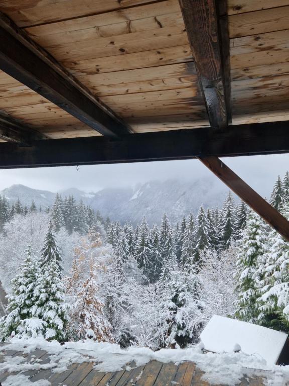 Alpine 1 bed Chalet with beautiful views v zimě