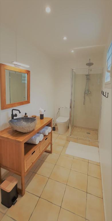 a bathroom with a sink and a toilet at LES KOKI VILLA TROPICADELICE in Saint-François
