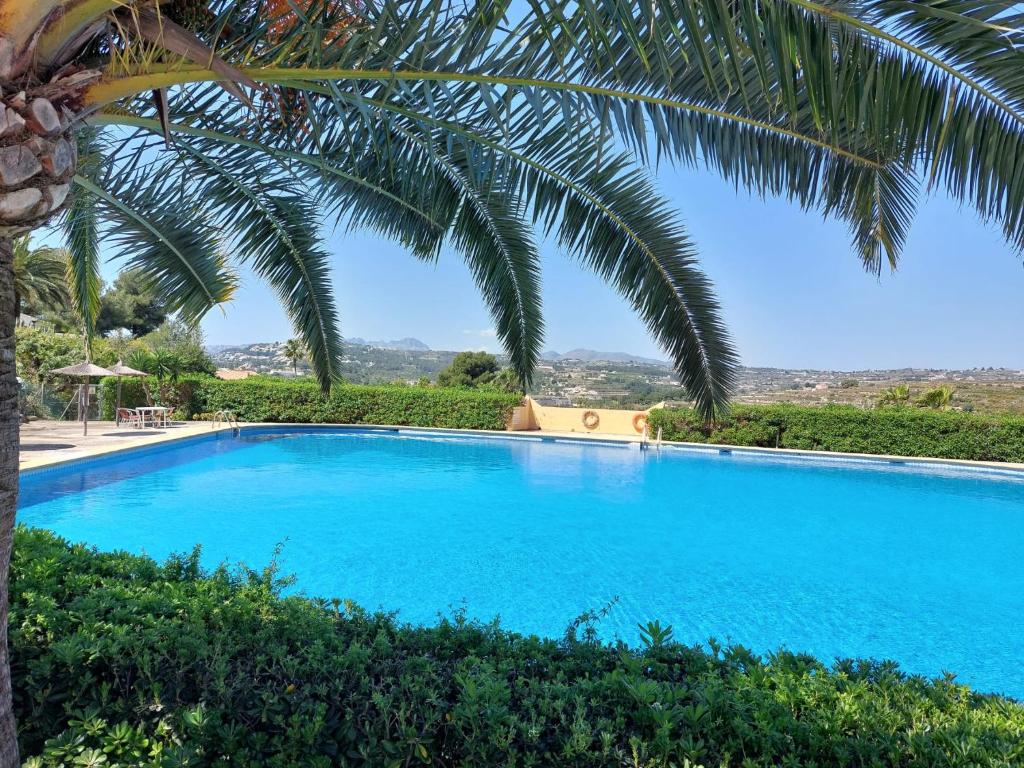 a large blue swimming pool next to a palm tree at Casita Vida Moraira in Benitachell
