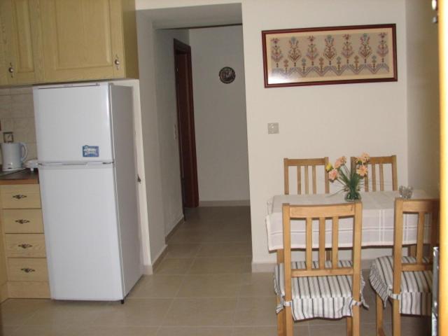 Kuchyň nebo kuchyňský kout v ubytování ANEMOESSA APTS