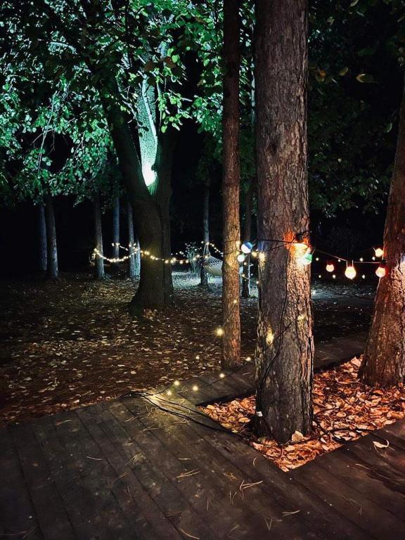 Fotografie z fotogalerie ubytování Kuća za odmor Vrdnik v destinaci Vrdnik