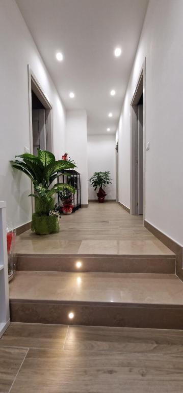 a hallway with stairs and potted plants in a building at B&B Nonna Maria in Pompei