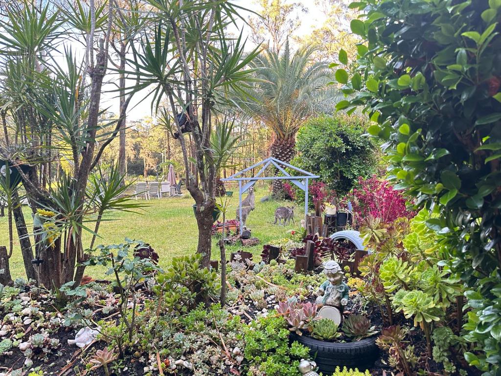 un jardin avec des arbres et des plantes dans une cour dans l'établissement Macyland, à Woollamia