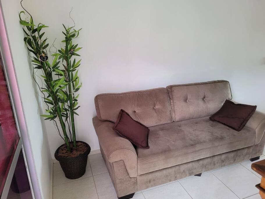 ein braunes Sofa mit zwei Kissen und einer Pflanze in der Unterkunft Natureza&Praia&Cachoeira in Mangaratiba