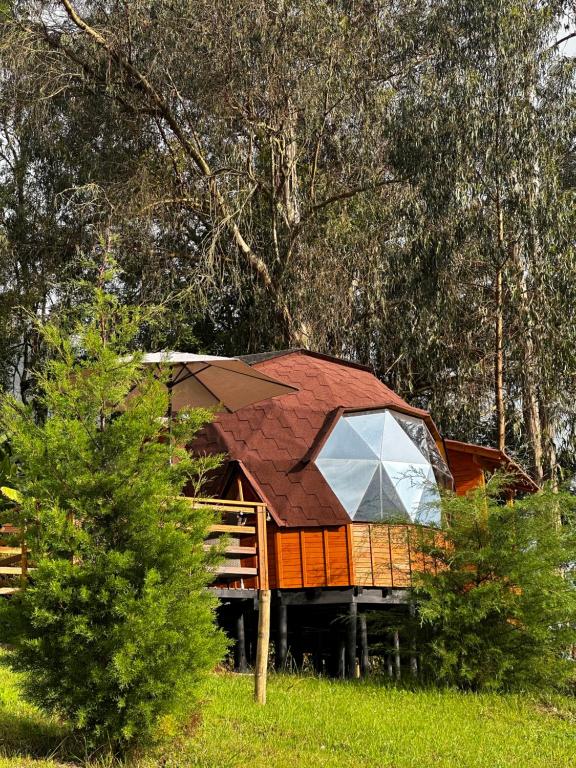 a cabin in the middle of a field with trees at Glamping Shalom in Choachí
