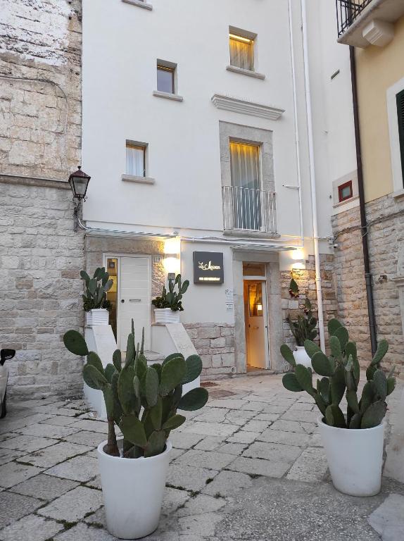 un bâtiment avec deux plantes en pot devant lui dans l'établissement La Maison, à Trani