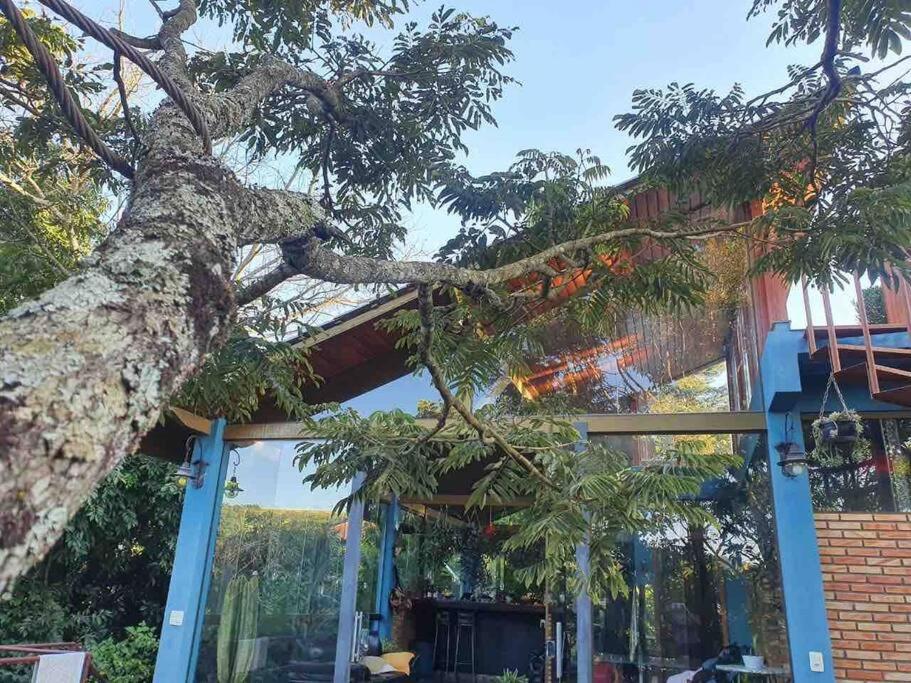 un árbol que se inclina sobre un edificio en Casa completa próxima a Ouro Preto! Amarantina, en Ouro Preto