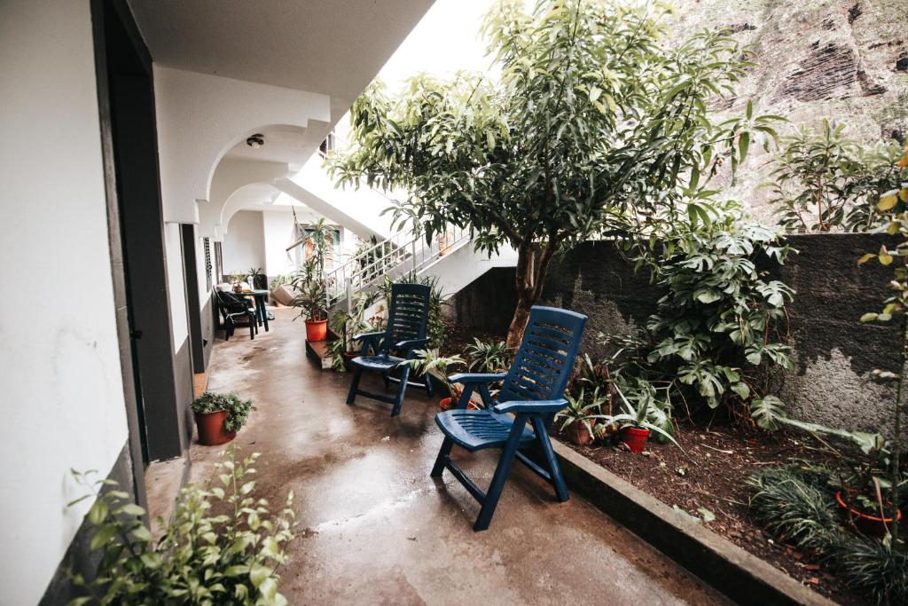 twee blauwe stoelen op een binnenplaats met planten bij Casa da Avo Rosa in São Vicente